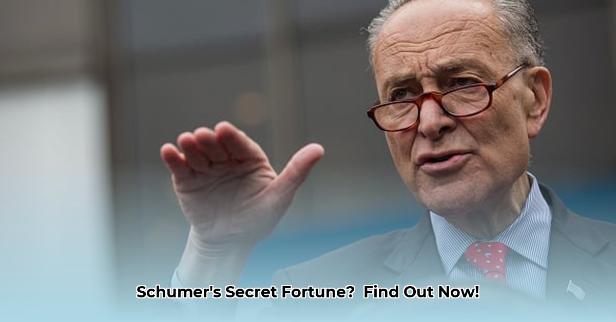 what-is-chuck-schumer-s-net-worth
